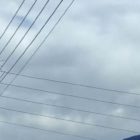 Ξηλώθηκε η φωλιά του πελαργού στην κοινότητα Σκοπού