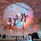 Απολογισμός της έκθεσης “not a parasite” από την εικαστική ομάδα pulvis umbra της Σχολής Καλών Τεχνών Φλώρινας