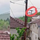 Διαμαρτυρία για την αφαίρεση πελαργοφωλιάς στο Βαρικό