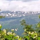 Όρος Καϊμακτσαλάν