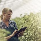 Ο ευρωπαϊκός οργανισμός EIT Food ανοίγει το νέο κύκλο του προγράμματος επιχειρηματικότητας για γυναίκες που δραστηριοποιούνται στον τομέα της αγροδιατροφής
