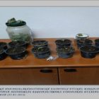 Συνελήφθη 61χρονος σε περιοχή της Φλώρινας για καλλιέργεια δενδρυλλίων κάνναβης και  κατοχή ναρκωτικών ουσιών