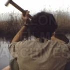 Πρέσπες 1987 – Ερευνητές στην μικτή αποικία πελεκάνων της Βρωμολίμνης (video)