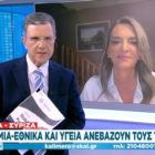 Η Πέτη Πέρκα στον ΣΚΑΪ: «Στο Πρόγραμμα Σταθερότητας αποκαλύφθηκε η κρυφή ατζέντα της ΝΔ» (video)