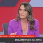 Η Πέτη Πέρκα στο Attica TV: «Αυτοί μιλάνε για κέρδη και ζημιές κι εμείς μιλάμε για ανθρώπινες ζωές» (video)