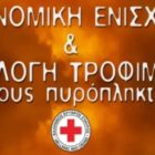Ελληνικός Ερυθρός Σταυρός: Άνοιγμα λογαριασμού και συγκέντρωση τροφίμων για τους πυρόπληκτους