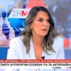 Η Πέτη Πέρκα στον ΣΚΑΪ: «Όταν υπάρχουν καρτέλ και εναρμονισμένες πρακτικές, όπως σήμερα στην ακτοπλοΐα, απαιτείται πολιτική παρέμβαση κι όχι απλή σύσταση» (video)