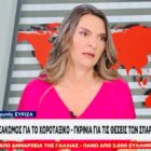 Η Πέτη Πέρκα στο ΟΝΕ: «Δεν εξηγήσαμε επαρκώς το όραμά μας για την Ελλάδα του 2027» (video)
