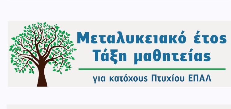 Ενημερωτικό φυλλάδιο μαθητείας για τους αποφοίτους ΕΠΑΛ