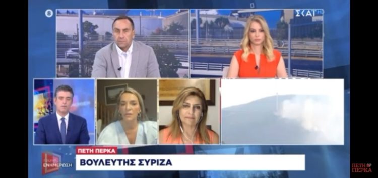 Η Πέτη Πέρκα στο ΣΚΑΪ: «Το αφήγημα της κυβέρνησης ότι δεν έχουμε θρηνήσει ανθρώπινες ζωές έχει κι αυτό καταπέσει» (video)