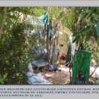 Από αστυνομικούς του Τμήματος Συνοριακής Φύλαξης  Κρυσταλλοπηγής Φλώρινας εξαρθρώθηκε εγκληματική ομάδα τα μέλη της οποίας δραστηριοποιούνταν στην καλλιέργεια 397 δενδρυλλίων κάνναβης, σε δύσβατη δασική περιοχή της Καβάλας