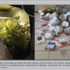 Εντοπίστηκε από αστυνομικούς του Τμήματος Ασφάλειας Φλώρινας, πλήρως οργανωμένο σύστημα εσωτερικής καλλιέργειας κάνναβης, σε οικία στην πόλη της Φλώρινας