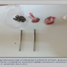 Συνελήφθη 47χρονος σε περιοχή της Φλώρινας για κατοχή ναρκωτικών ουσιών