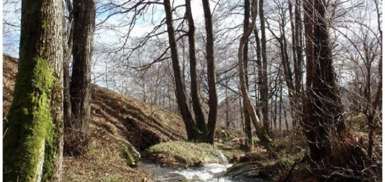 Σε πορεία υλοποίησης το έργο ανάδειξης των νερόμυλων Κρατερού