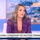 Η Πέτη Πέρκα στους Αταίριαστους στον ΣΚΑΪ: «Αν προλαβαίνεις να κάνεις 13 Περιφερειακά Συνέδρια, γιατί δεν προλαβαίνεις να κάνεις το συνέδριο του κόμματος;»