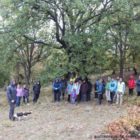 Καταγραφή μυκοχλωρίδας στο Εθνικό Πάρκο Πρεσπών