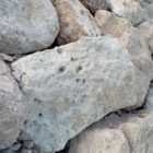 Πολιτική και οικονομία της υγείας