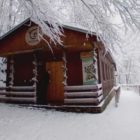 Αρκτούρος: Οι αρκούδες πήγαν… για ύπνο