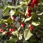 Παραμένοντας παιδιά