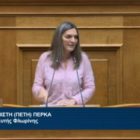 Πέτη Πέρκα: «Η κλιματική κρίση δεν μπορεί να χρησιμοποιείται ως δικαιολογία για την ολιγωρία της κυβέρνησης στη διαχείριση κρίσεων»(video)