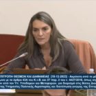 Πέτη Πέρκα: «Κατώτερες των αναγκών οι επιλογές της κυβέρνησης για τη διοίκηση της ΥΠΑ» (video)