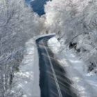 Μαγεία στο χιόνι: Ένα χειμωνιάτικο ταξίδι από τη Φλώρινα στη Βίγλα Πισοδερίου (video)