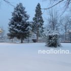 Του χιονιού και της αγάπης