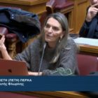 Πέτη Πέρκα: «Και στις αερομεταφορές, οι επιλογές της κυβέρνησης πλήττουν το δημόσιο συμφέρον» (video)