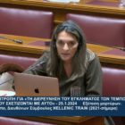 Πέτη Πέρκα: «Καμιά ανάληψη ευθύνης από τη Hellenic Train για το δυστύχημα στα Τέμπη» (video)