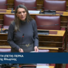 Π.Πέρκα: “Η κυβέρνηση δεν θέλει να υπάρχει έλεγχος και κανόνες αλλά χάος με τα τιμολόγια ρεύματος”