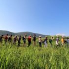 Τμήμα Εικαστικών και Εφαρμοσμένων Τεχνών: Περιπατητικές τέχνες και τοπικές κοινότητες (WALC)