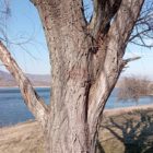 Αναμνήσεις από το μέλλον