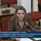 Πέτη Πέρκα: «Τα αεροδρόμια της χώρας λειτουργούν χωρίς τοπική κρατική παρουσία, στον ‘αυτόματο’» (video)