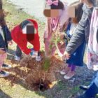 Εορτασμός της Παγκόσμιας Ημέρας Δασών στο Πειραματικό Δημοτικό Σχολείο Φλώρινας (pics)