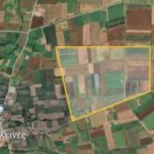 Ζητούνται αγροτεμάχια για αγορά στις Κάτω Κλεινές