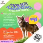 Save Your Hood x ΑΡΚΤΟΥΡΟΣ: Υπερ-δράση καθαρισμού ρέματος Ασπρογείων στο Καταφύγιο Λύκου & Λύγκα