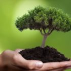 Εκδηλώσεις για την Παγκόσμια Ημέρα Δασών από τις Δασικές Υπηρεσίες Ηπείρου – Δυτικής Μακεδονίας