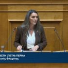 Πέτη Πέρκα: «Όσο και να προσπαθεί η κυβέρνηση να συγκαλύψει το έγκλημα των Τεμπών, εμείς θα συνεχίσουμε τον αγώνα για δικαιοσύνη» (video)