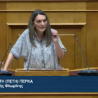 Πέτη Πέρκα: Πολύ λίγα που ήρθαν πολύ αργά τα μέτρα της κυβέρνησης για το αγροτικό ρεύμα