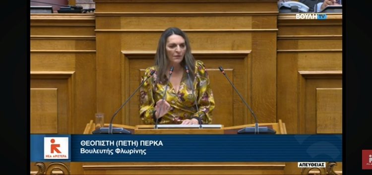 Πέτη Πέρκα: «Η Νέα Αριστερά στηρίζοντας την πρόταση δυσπιστίας, στηρίζει το αίτημα της κοινωνίας για απόδοση δικαιοσύνης στο έγκλημα των Τεμπών» (video)