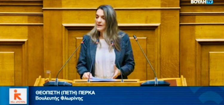 Πέτη Πέρκα: «κ. Υπουργέ υπάρχουν και άλλα άρθρα του Συντάγματος που η Ελλάδα δεν μπορεί να περιμένει την αναθεώρησή τους;»