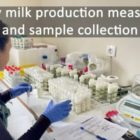 Σχολή Γεωπονικών Επιστημών: Αξιοποίηση υποπροϊόντων της βιομηχανίας παραγωγής χυμών (πορτοκάλι) για την παραγωγή βελτιωμένων συστατικών ζωοτροφών για μικρά μηρυκαστικά (πρόβατα)