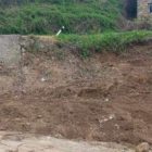 Ευχαριστήριο του προέδρου της κοινότητας Αλώνων