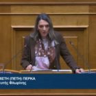 Πέτη Πέρκα: «Η κυβέρνηση οδηγεί σε κατάρρευση το δημόσιο σύστημα υγείας και αφήνει τους πολίτες ‘στην τύχη τους’» (video)