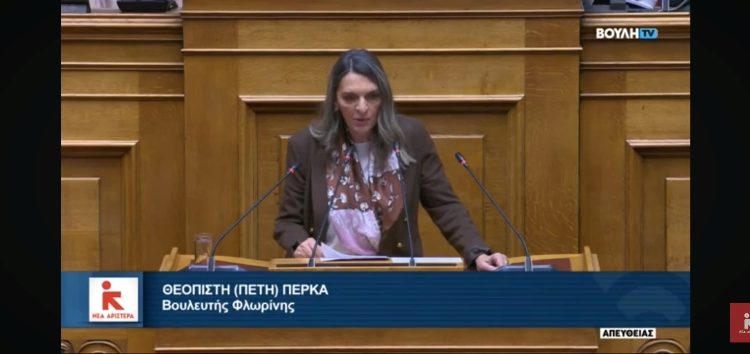 Πέτη Πέρκα: «Η κυβέρνηση οδηγεί σε κατάρρευση το δημόσιο σύστημα υγείας και αφήνει τους πολίτες ‘στην τύχη τους’» (video)