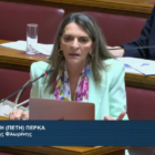 Πέτη Πέρκα: «Αγοραία αντίληψη και στον πολιτισμό» (video)