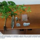 Συνελήφθη 57χρονος στη Φλώρινα για παραβάσεις της νομοθεσίας περί ναρκωτικών