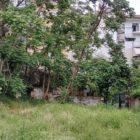 Παράπονο αναγνώστη για ακαθάριστο οικόπεδο