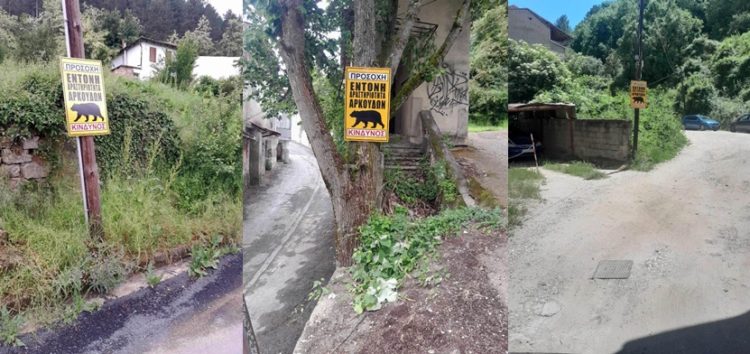 Τοποθέτηση προειδοποιητικών πινακίδων για έντονη δραστηριότητα αρκούδων στο λόφο του Αγίου Παντελεήμονα