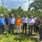 Στ. Παπασωτηρίου: «Άμεση ανταπόκριση του ΕΛΓΑ για την εκτίμηση ζημιών σε καλλιέργειες του Αμυνταίου»